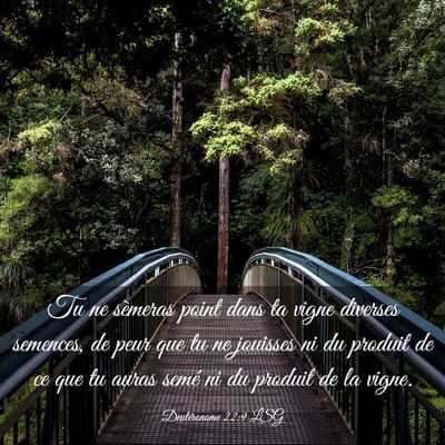 Picture 03 - Deutéronome 22:9 LSG - Tu ne sèmeras point dans ta vigne diverses - Bible Verse Picture