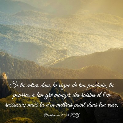 Picture 03 - Deutéronome 23:24 LSG - Si tu entres dans la vigne de ton prochain, tu - Bible Verse Picture