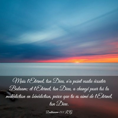 Picture 03 - Deutéronome 23:5 LSG - Mais l'Eternel, ton Dieu, n'a point voulu - Bible Verse Picture