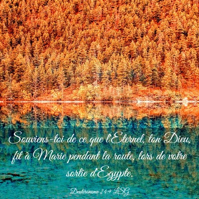Picture 03 - Deutéronome 24:9 LSG - Souviens-toi de ce que l'Eternel, ton Dieu, fit - Bible Verse Picture