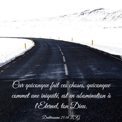 Picture 03 - Deutéronome 25:16 LSG - Car quiconque fait ces choses, quiconque commet - Bible Verse Picture