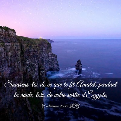 Picture 03 - Deutéronome 25:17 LSG - Souviens-toi de ce que te fit Amalek pendant la - Bible Verse Picture