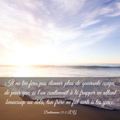 Picture 03 - Deutéronome 25:3 LSG - Il ne lui fera pas donner plus de quarante coups, - Bible Verse Picture