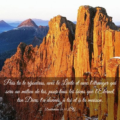 Picture 03 - Deutéronome 26:11 LSG - Puis tu te réjouiras, avec le Lévite et avec - Bible Verse Picture