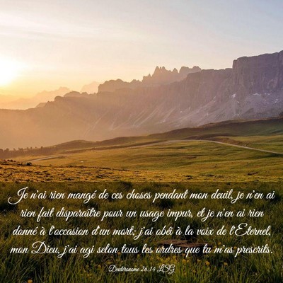 Picture 03 - Deutéronome 26:14 LSG - Je n'ai rien mangé de ces choses pendant mon - Bible Verse Picture