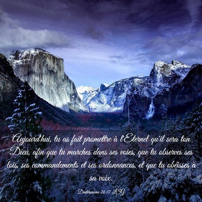 Picture 03 - Deutéronome 26:17 LSG - Aujourd'hui, tu as fait promettre à l'Eternel - Bible Verse Picture