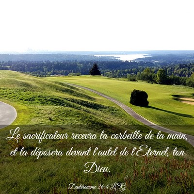 Picture 03 - Deutéronome 26:4 LSG - Le sacrificateur recevra la corbeille de ta main, - Bible Verse Picture