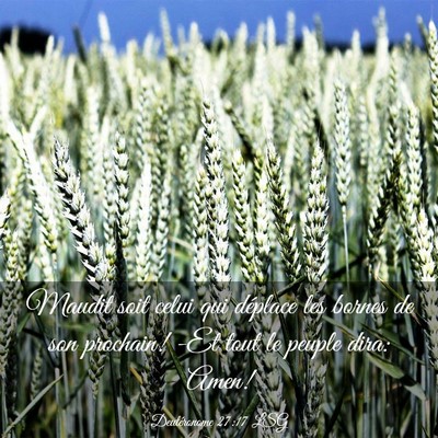 Picture 03 - Deutéronome 27:17 LSG - Maudit soit celui qui déplace les bornes de son - Bible Verse Picture