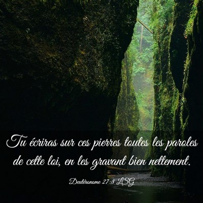 Picture 03 - Deutéronome 27:8 LSG - Tu écriras sur ces pierres toutes les paroles de - Bible Verse Picture
