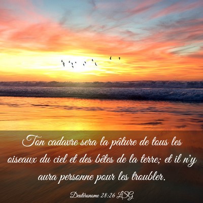 Picture 03 - Deutéronome 28:26 LSG - Ton cadavre sera la pâture de tous les oiseaux - Bible Verse Picture