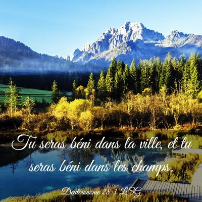 Picture 03 - Deutéronome 28:3 LSG - Tu seras béni dans la ville, et tu seras béni - Bible Verse Picture