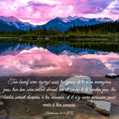 Picture 03 - Deutéronome 28:31 LSG - Ton boeuf sera égorgé sous tes yeux, et tu n'en - Bible Verse Picture