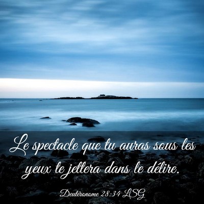 Picture 03 - Deutéronome 28:34 LSG - Le spectacle que tu auras sous les yeux te - Bible Verse Picture