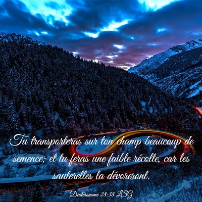 Picture 03 - Deutéronome 28:38 LSG - Tu transporteras sur ton champ beaucoup de - Bible Verse Picture