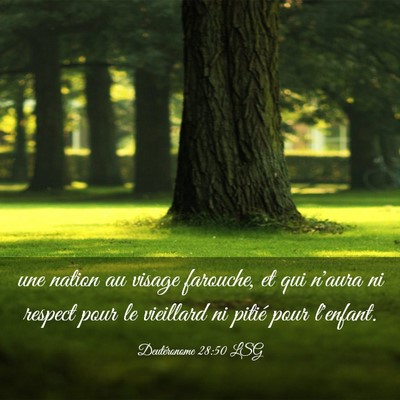 Picture 03 - Deutéronome 28:50 LSG - une nation au visage farouche, et qui n'aura ni - Bible Verse Picture