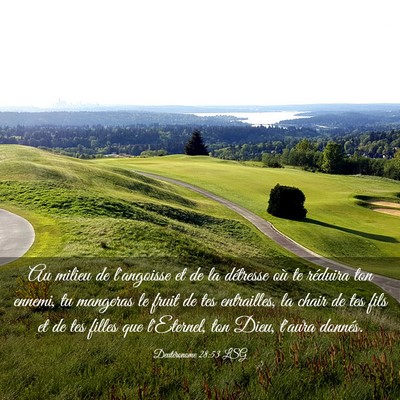 Picture 03 - Deutéronome 28:53 LSG - Au milieu de l'angoisse et de la détresse où te - Bible Verse Picture