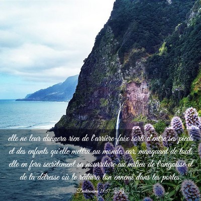 Picture 03 - Deutéronome 28:57 LSG - elle ne leur donnera rien de l'arrière-faix - Bible Verse Picture