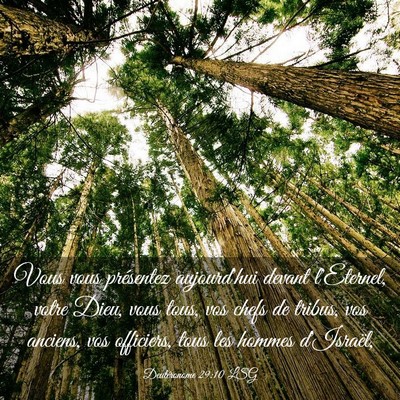 Picture 03 - Deutéronome 29:10 LSG - Vous vous présentez aujourd'hui devant - Bible Verse Picture