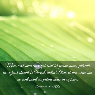Picture 03 - Deutéronome 29:15 LSG - Mais c'est avec ceux qui sont ici parmi nous, - Bible Verse Picture