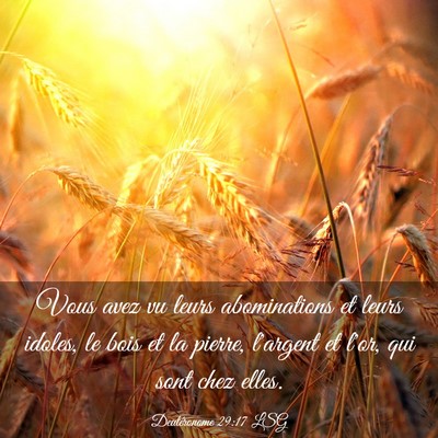Picture 03 - Deutéronome 29:17 LSG - Vous avez vu leurs abominations et leurs idoles, - Bible Verse Picture
