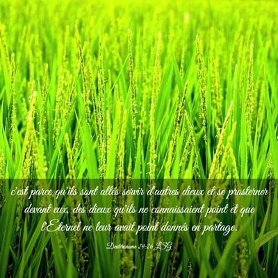 Picture 03 - Deutéronome 29:26 LSG - c'est parce qu'ils sont allés servir d'autres - Bible Verse Picture