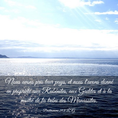 Picture 03 - Deutéronome 29:8 LSG - Nous avons pris leur pays, et nous l'avons donné - Bible Verse Picture