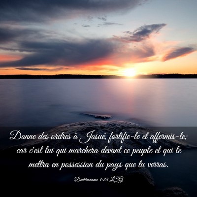 Picture 03 - Deutéronome 3:28 LSG - Donne des ordres à Josué, fortifie-le et - Bible Verse Picture