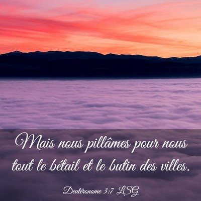 Picture 03 - Deutéronome 3:7 LSG - Mais nous pillâmes pour nous tout le bétail et - Bible Verse Picture