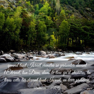 Picture 03 - Deutéronome 31:11 LSG - quand tout Israël viendra se présenter devant - Bible Verse Picture