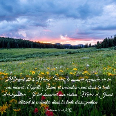 Picture 03 - Deutéronome 31:14 LSG - L'Eternel dit à Moïse: Voici, le moment - Bible Verse Picture