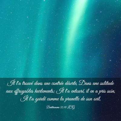 Picture 03 - Deutéronome 32:10 LSG - Il l'a trouvé dans une contrée déserte, Dans - Bible Verse Picture