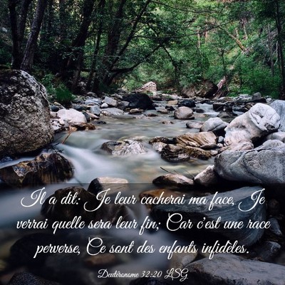 Picture 03 - Deutéronome 32:20 LSG - Il a dit: Je leur cacherai ma face, Je verrai - Bible Verse Picture