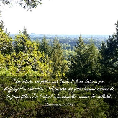 Picture 03 - Deutéronome 32:25 LSG - Au dehors, on périra par l'épée, Et au dedans, - Bible Verse Picture