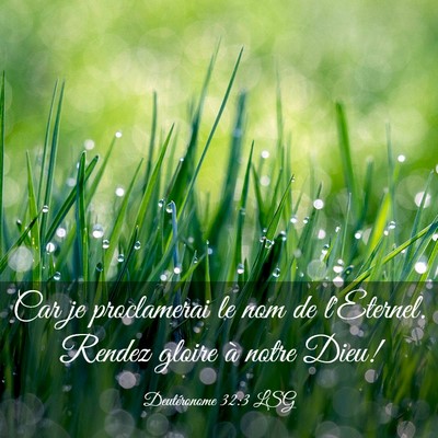 Picture 03 - Deutéronome 32:3 LSG - Car je proclamerai le nom de l'Eternel. Rendez - Bible Verse Picture