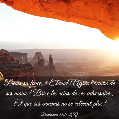 Picture 03 - Deutéronome 33:11 LSG - Bénis sa force, ô Eternel! Agrée l'oeuvre de - Bible Verse Picture