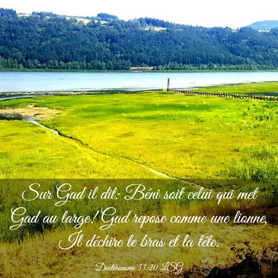 Picture 03 - Deutéronome 33:20 LSG - Sur Gad il dit: Béni soit celui qui met Gad au - Bible Verse Picture