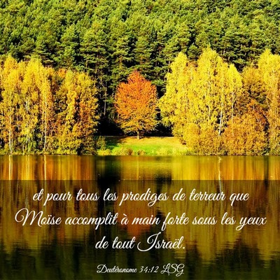 Picture 03 - Deutéronome 34:12 LSG - et pour tous les prodiges de terreur que Moïse - Bible Verse Picture