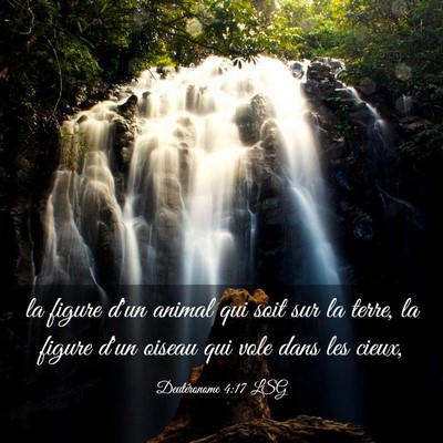 Picture 03 - Deutéronome 4:17 LSG - la figure d'un animal qui soit sur la terre, la - Bible Verse Picture