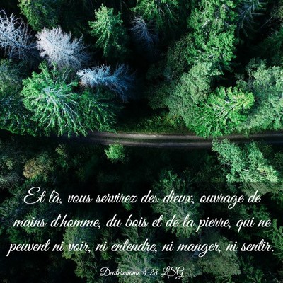 Picture 03 - Deutéronome 4:28 LSG - Et là, vous servirez des dieux, ouvrage de mains - Bible Verse Picture