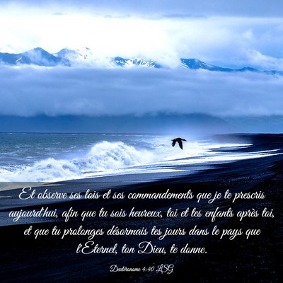 Picture 03 - Deutéronome 4:40 LSG - Et observe ses lois et ses commandements que je - Bible Verse Picture
