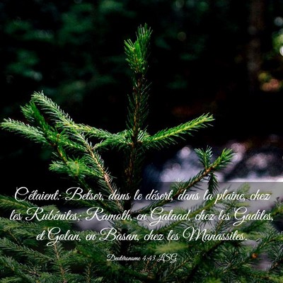 Picture 03 - Deutéronome 4:43 LSG - C'étaient: Betser, dans le désert, dans la - Bible Verse Picture