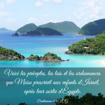 Picture 03 - Deutéronome 4:45 LSG - Voici les préceptes, les lois et les ordonnances - Bible Verse Picture