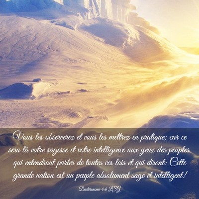 Picture 03 - Deutéronome 4:6 LSG - Vous les observerez et vous les mettrez en - Bible Verse Picture