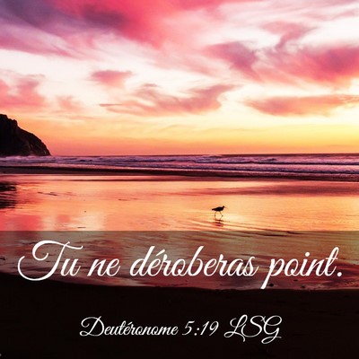 Picture 03 - Deutéronome 5:19 LSG - Tu ne déroberas - Bible Verse Picture