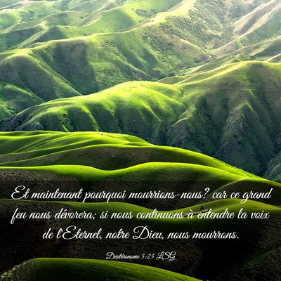 Picture 03 - Deutéronome 5:25 LSG - Et maintenant pourquoi mourrions-nous? car ce - Bible Verse Picture