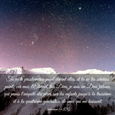 Picture 03 - Deutéronome 5:9 LSG - Tu ne te prosterneras point devant elles, et tu - Bible Verse Picture