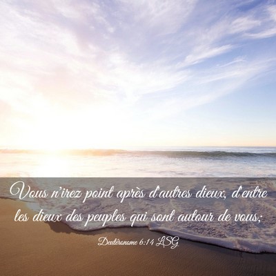 Picture 03 - Deutéronome 6:14 LSG - Vous n'irez point après d'autres dieux, d'entre - Bible Verse Picture