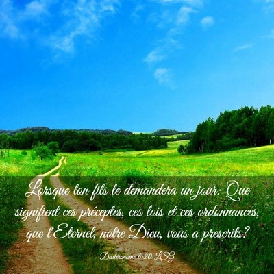 Picture 03 - Deutéronome 6:20 LSG - Lorsque ton fils te demandera un jour: Que - Bible Verse Picture