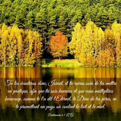 Picture 03 - Deutéronome 6:3 LSG - Tu les écouteras donc, Israël, et tu auras soin - Bible Verse Picture