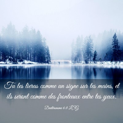 Picture 03 - Deutéronome 6:8 LSG - Tu les lieras comme un signe sur tes mains, et - Bible Verse Picture